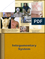 Integumentary System 2015