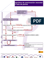 Algoritmo Neonatal