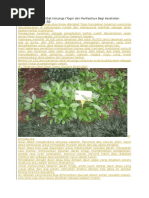 Download 100 Jenis Tanaman Obat Keluarga by Achef Rukmana SN323934506 doc pdf