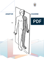 Musculos Inferores Trabajo