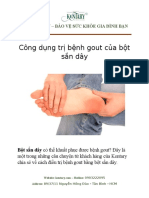 Công Dụng Trị Bệnh Gout Của Bột Sắn Dây