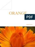 Orange: Adagio Secreto