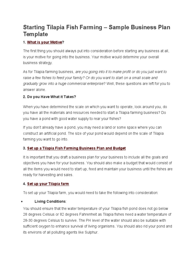 Starting Tilapia Fish Farming Pond Water