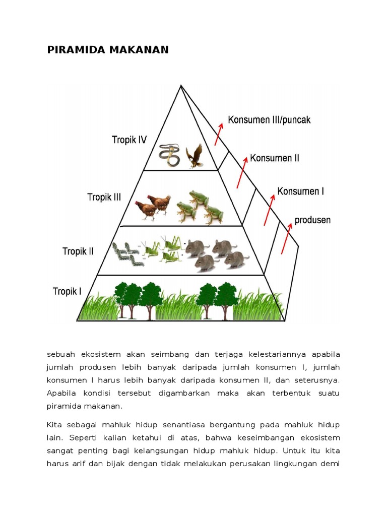 Tuliskan Contoh Jaring Jaring Makanan - Surat Ras