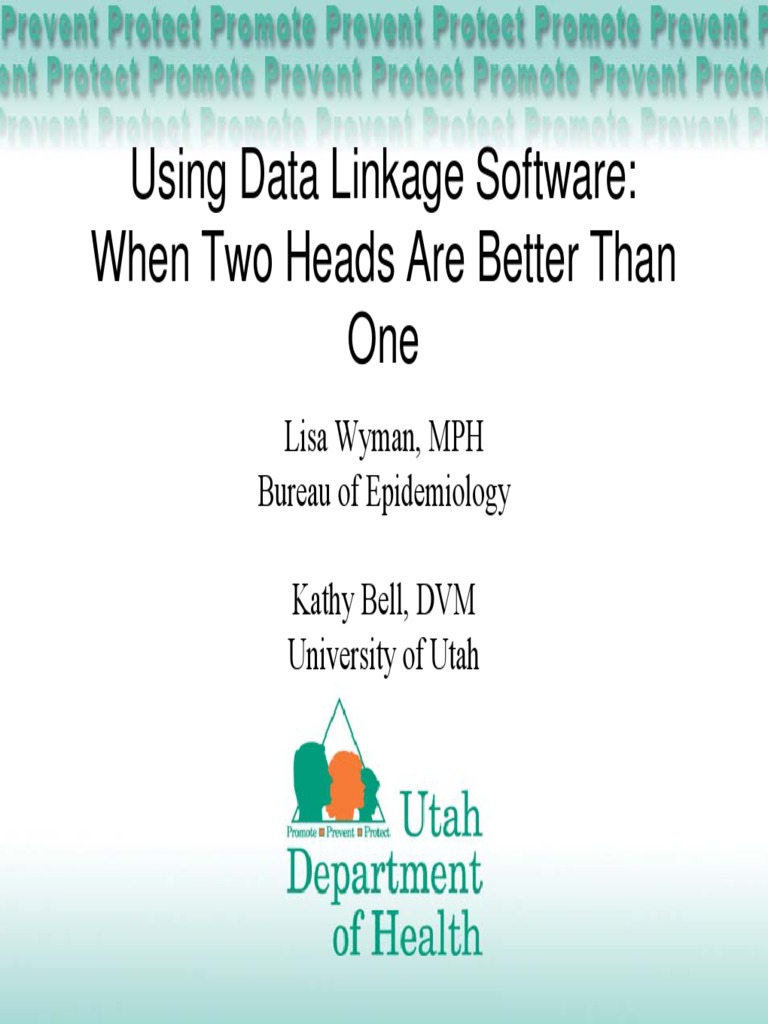 Using Data Linkage Software When Two Heads Are Better Than One PDF