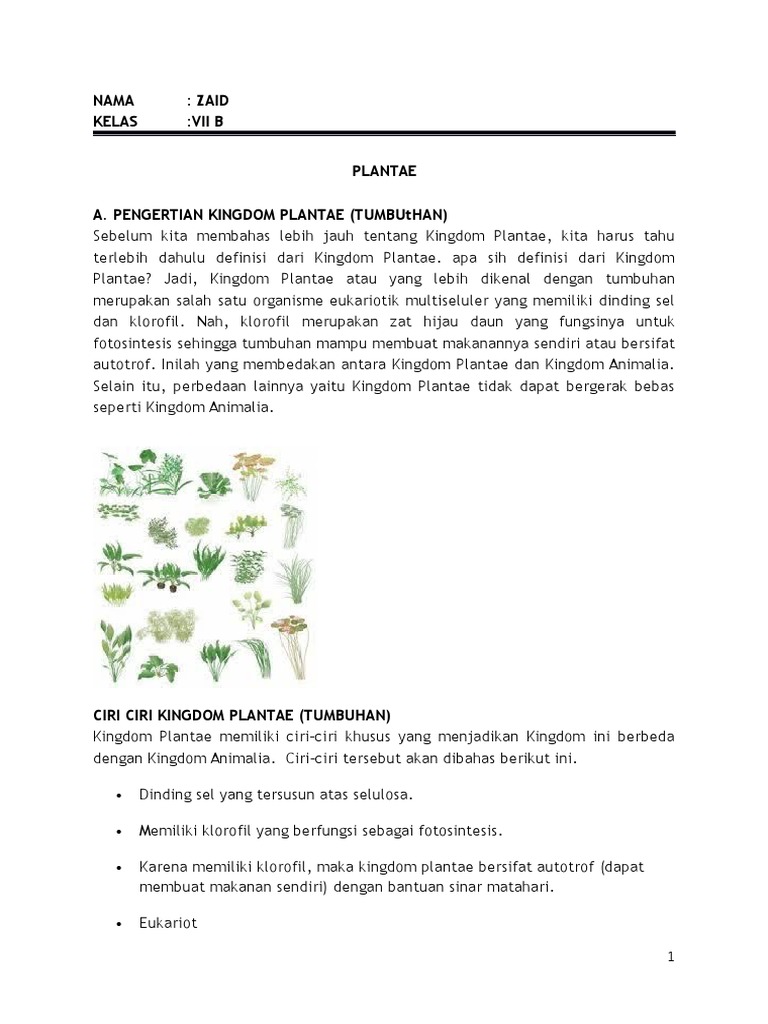 Biologi Plantae