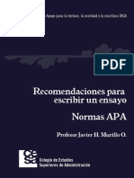 Normas APA ensayo.pdf