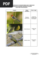 LISTA DE ESPÉCIES DE PASSERIFORMES MAIS COMUNS EM APREENSÕES NA REGIÃO SUDOESTE DA BAHIA.pdf