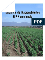 DinamicadeN-P-K-CarlosSierra.pdf