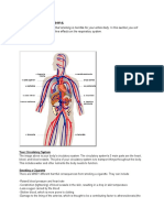 Circulatory Systems