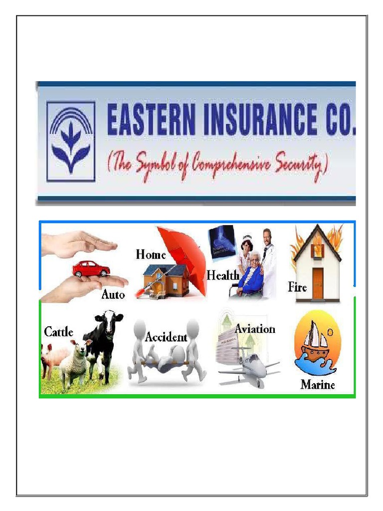 Eastern Insurance Co. & DSE Market Reinsurance Insurance