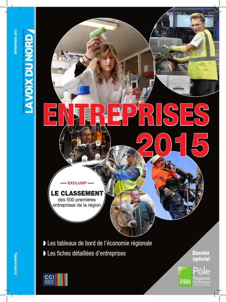 Guide Entreprises 2015 | PDF | Voiture électrique | Business