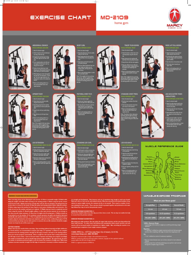 Weight Machine Exercise Chart PDF Human Anatomy Musculoskeletal System