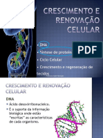 DNA e Síntese Proteica PDF