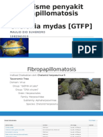 Mekanisme Penyakit Fibropapillomatosis Pada