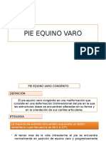 Pie Equino Varo