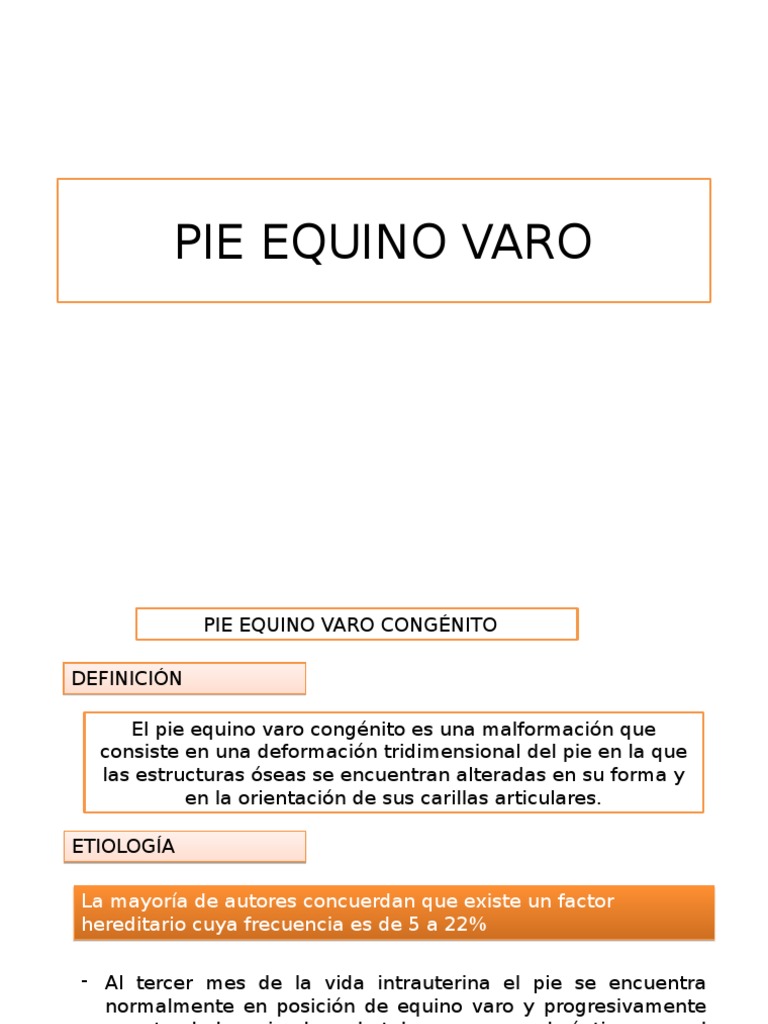 Pie Equino Varo PDF Pie Anatomía del miembro inferior