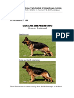 German shepherd DOG