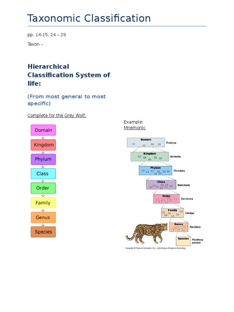 Note Taxonomic Classification PDF