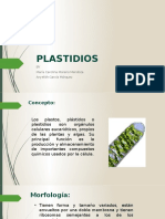 PLASTIDIOS