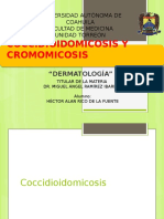 Coccidioidomicosis y Cromomicosis (Copia Conflictiva de Aldo-HP 2012-04-25)