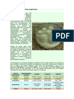 Biotecnología e Industria Alimentaria