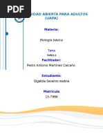 Tarea VI de Biologia BASICA