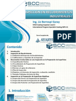 INSPECCION_RECUBRIMIENTOS_INDUSTRIALES_I.pdf