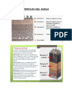 Perfiles Del Suelo