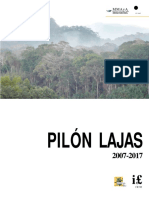 Plan de Vida_Pilon Lajas