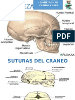 Semiología de Cabeza y Cuello y Órganos de Los Sentidos