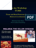 One-Day Workshop on Malaria and Leishmaniasis