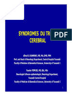 Syndromes Du Tronc Cerebral_y