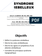 Syndrome Cérébelleux 2013 Copie