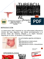 Tuberculosis Intestinal