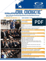 Mesagerul Energetic Nr. 175 PDF