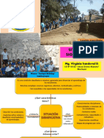 Situaciones Significativas  - Virginia Sandoval D