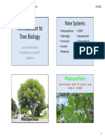 IntroductiontoTree Biology