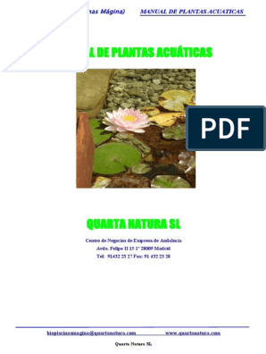 Manual De Plantas Acuaticas Plantas Hoja