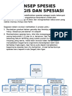 Konsep Spesies Biologis Dan Spesiasi