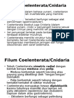 Filum Coelenterata