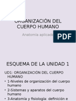 Ud 1 Organización Cuerpo Humano