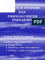 Struktur Anatomi Dan Fisiologi Sistem Pernafasan