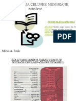 Fiziologija Celijske Membrane