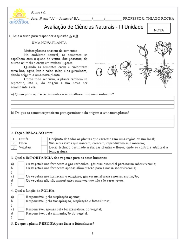 Avaliação de Ciências 5 Ano