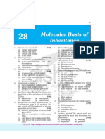 CH 28 PDF