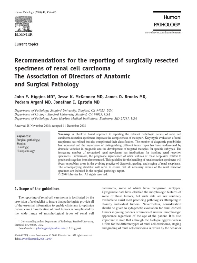 Curriculum vitae format picture