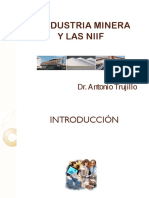 NIIF.pdf