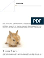 El Conejo Como Mascota PDF