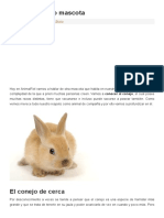 El conejo como mascota.pdf